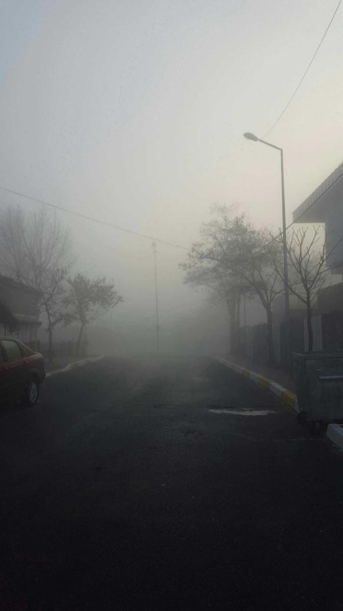 Güneşli hava mi yağmurlu hava mi?