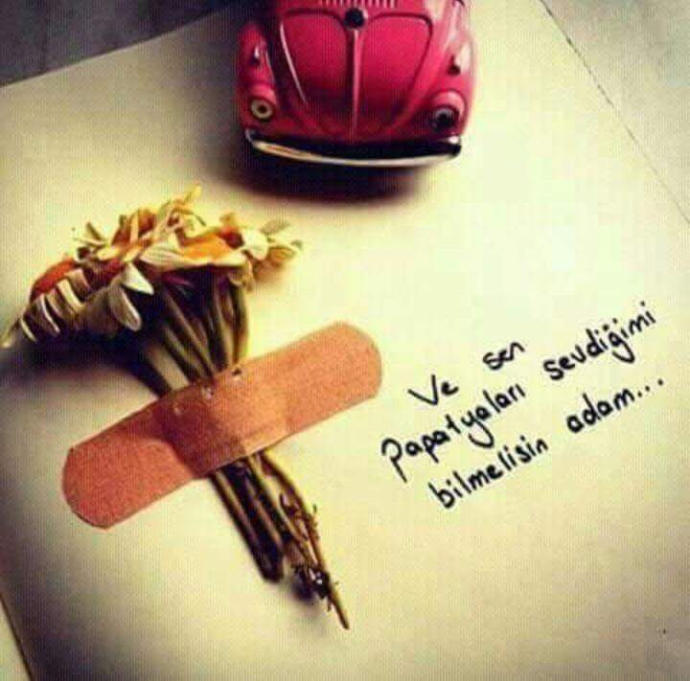 En sevdiğiniz çiçek nedir?