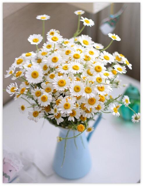 🌹💐Çiçekler 🌺🌼 kime gitsin..?