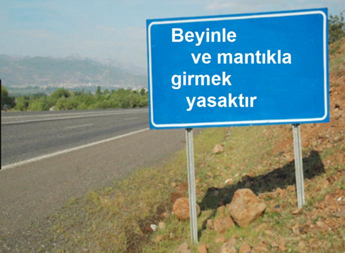 Müslüman ülkeler hakkına ne düşünüyorsunuz?