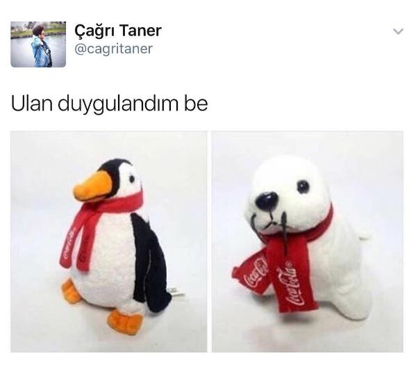 Sizin evde de bunlardan var mı?