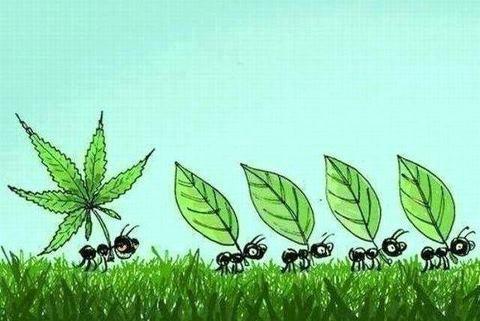 Sadece bana has diyebileceğiniz neler var?