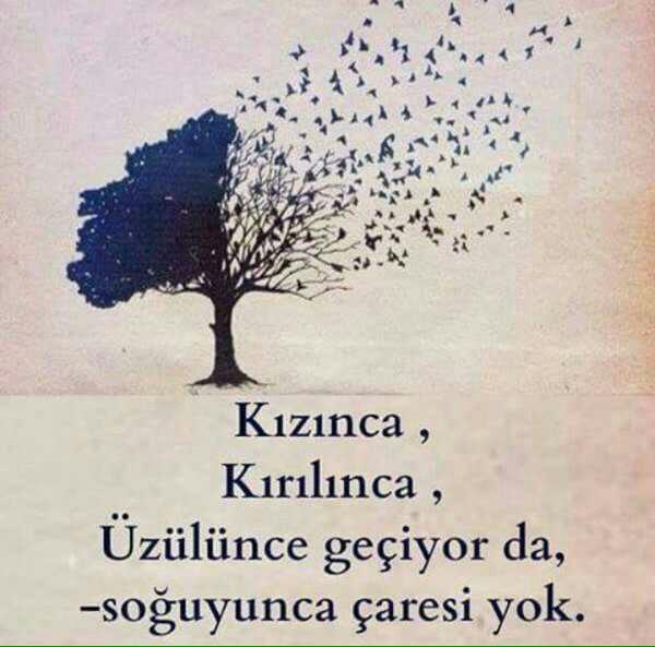 Konuştuğunuz bir insandan soğudunuz mu hiç??