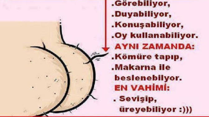 Popo kıllarından sonra yeni trend göğüs kılları ile aşkı ifade etmek peki siz bu yeni trend akımına uyacak mısınız?
