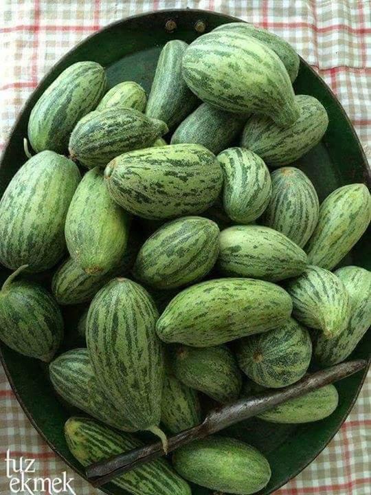 Bunun adını bilen var mı 😂?