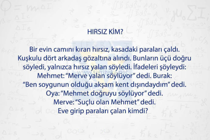 Sizce hırsız kim?