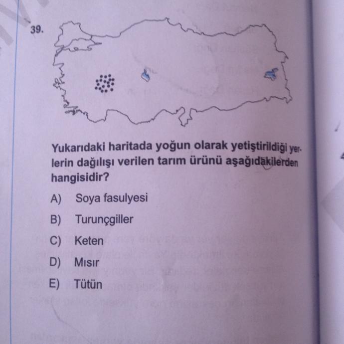 Arkadaşlar coğrafym hiç iyi değil. harita sorularında verilenleri yapamıyorum. Bu tarz soruları kolay yapabilmem için ne Yapablrm?
