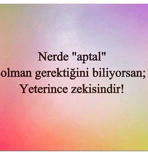 yeri geldiğinde aptal rolü yapmayı başarabiliyor musunuz ?