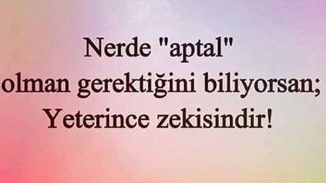 Yeri geldiğinde aptal rolü yapmayı başarabiliyor musunuz?
