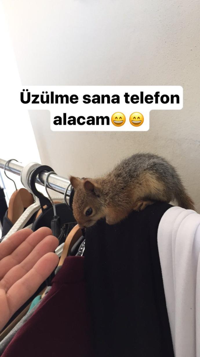 Minik sincabım nasıl?