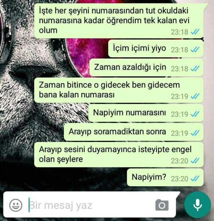 Size Çaresizliği Anlatamam Ama Gösterebilirim?