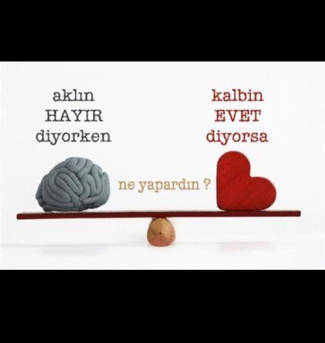 Aklın "Hayır" diyorken kalbin "evet" diyorsa sen ne yapardın?😘😘?