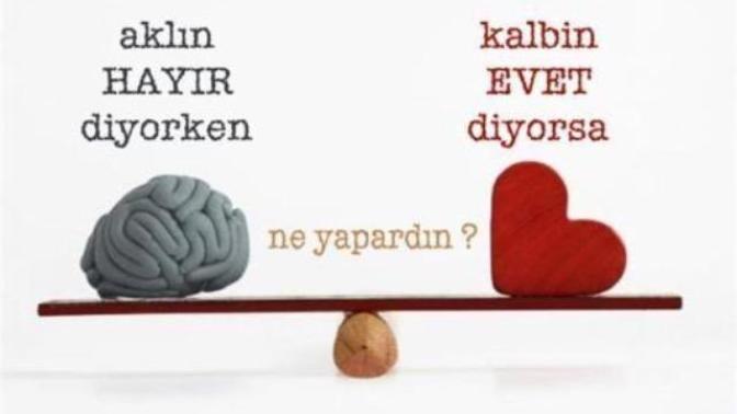 Aklın "Hayır" diyorken kalbin "evet" diyorsa sen ne yapardın?😘😘?