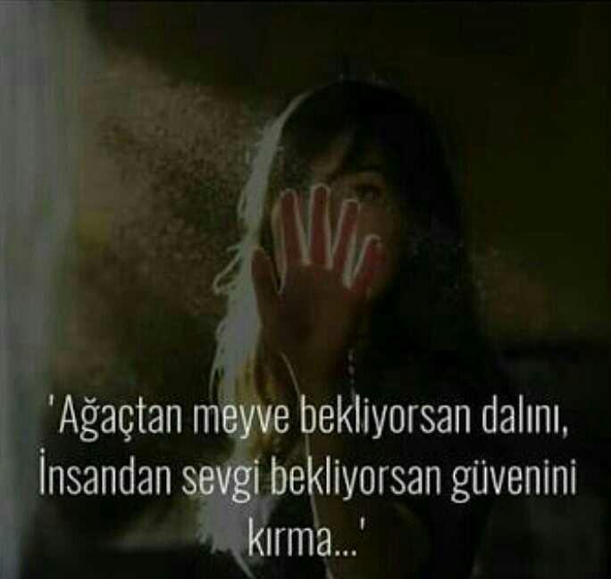 Sizce 