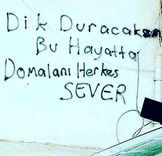 Hayata karşı duruşunuz nasıl 😜?