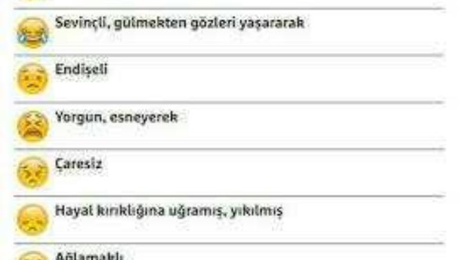 şu an hangi ruh halindesin ve hangi emoji seni anlatıyor?