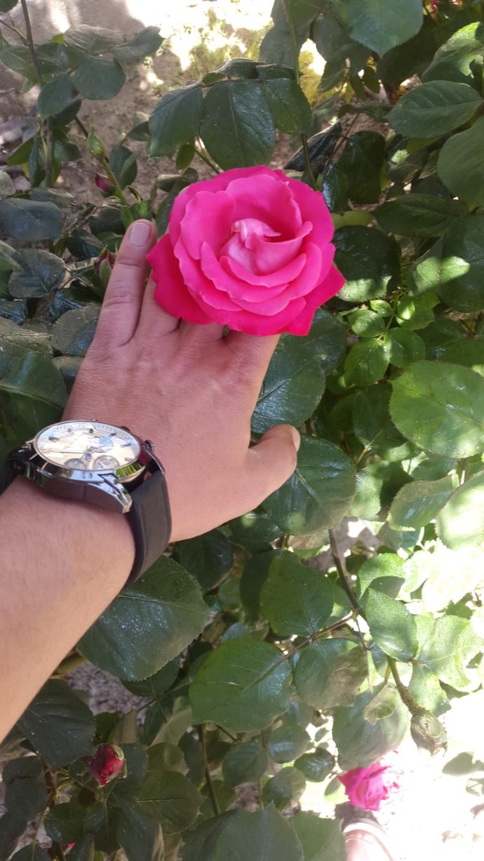 Pazar pazar keyifler yerindemi? Bende boyle balkonda cay keyfi siz ne alemdesiniz (görselli) ?
