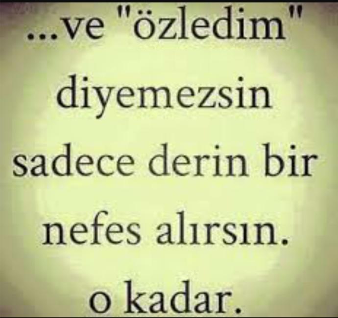 "Onu çok özlediğini" neden dile getiremez insan, özlediğini söylemeye ne engel olur insana?