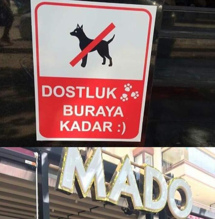 Mado'nun Hayvanlarla İlgili Tabelası Hakkında Ne Düşünüyorsunuz?