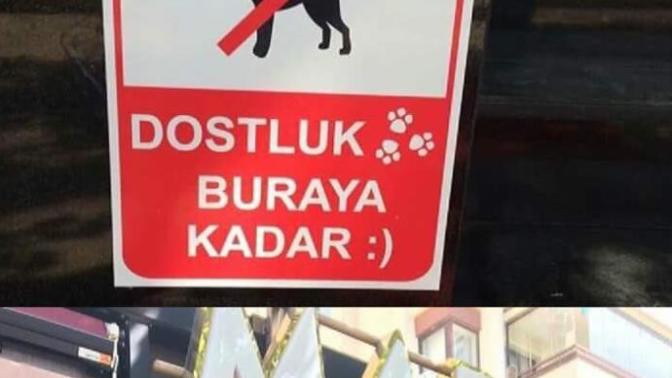 Mado'nun hayvanlarla ilgili tabelası hakkında ne düşünüyorsunuz?