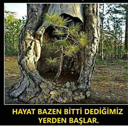 Hayat bazen bitti dediğimiz yerden devam eder mi??