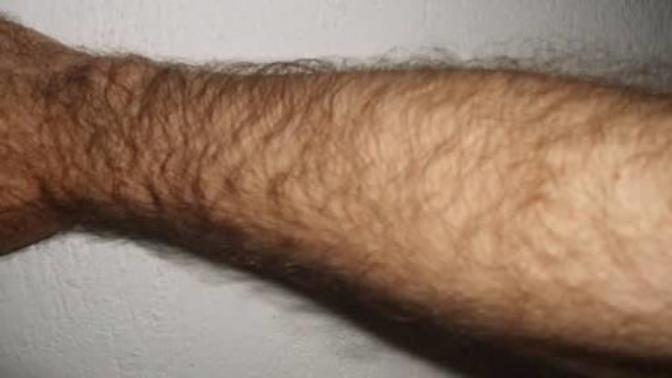 KOL KILLARI NI ALMALI MIYIM?