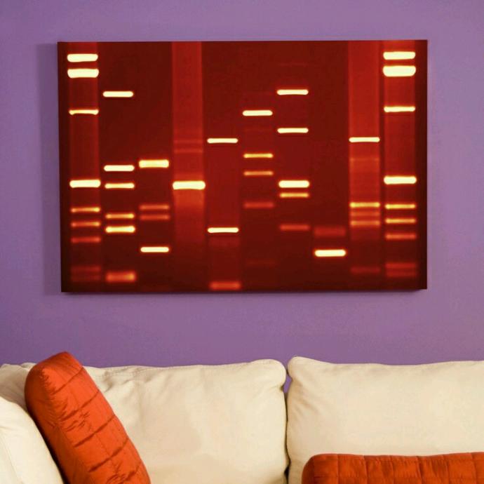 Teknoloji ve bilimin birleşmesiyle ortaya çıkan şahaser: DNA Tablosu! Bu yeni bilim tablolarını nasıl buldunuz? Yaptıran var mı?
