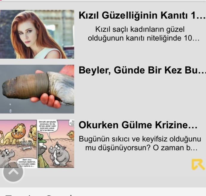 Şu görseldeki saçma sapan şeyler sizde de çıkıyor mu?