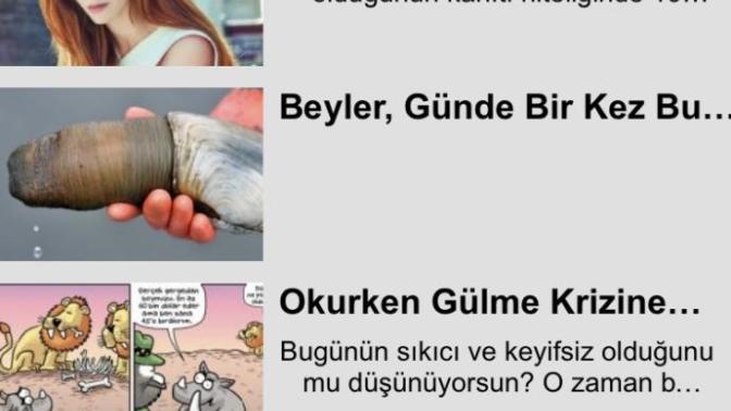 Şu görseldeki saçma sapan şeyler sizde de çıkıyor mu?