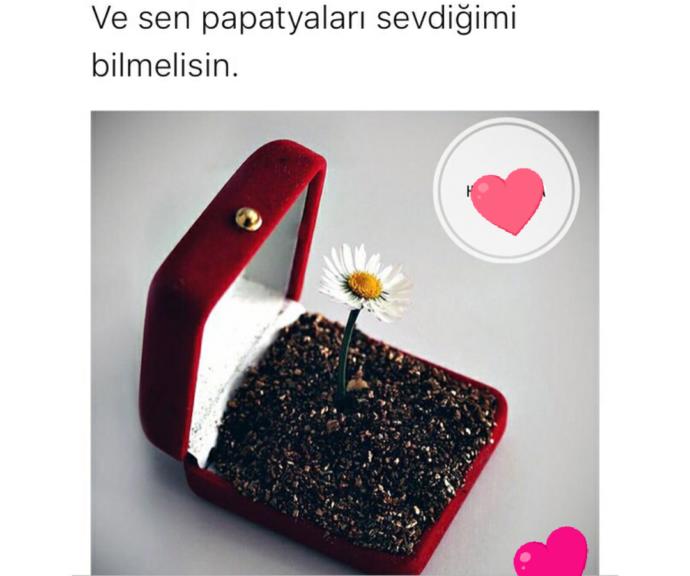 Bir küçücük papatya ile evlenme teklifi alsanız kabul eder misiniz? Ya da böyle bir teklif yapar mıydınız?