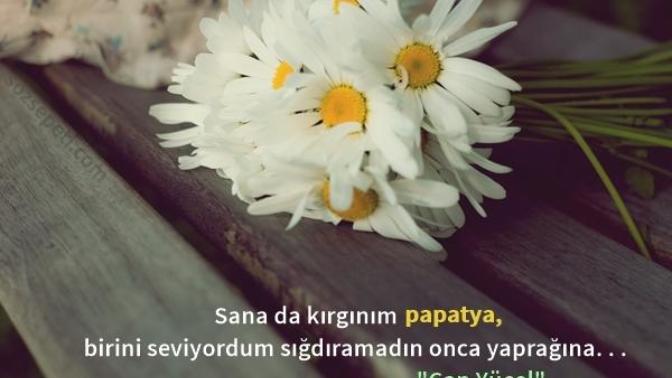 Hiç papatya falına baktınız mı, papatya falınızda ne çıksın isterdiniz; ha bu arada fala inanıyor musunuz?