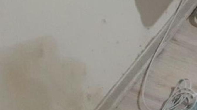 Duvarda çay lekesi nasıl çıkar?