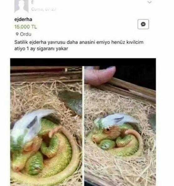 Ejderhanız Olsun İster miydiniz?