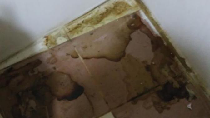 Buzdolabı içindeki her şey bozulmuş koku nasıl gider (detay)?