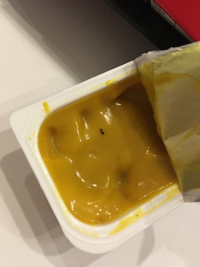 Mc donalds ta menü yerken içinden böcek tarzı birşeyle karşılaştınız mı ?