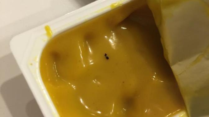 Mc donalds ta menü yerken içinden böcek tarzı birşeyle karşılaştınız mı?