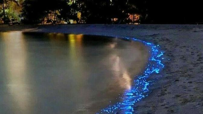 Gece sahilde yürümeyi ve yıldızlara bakmayı sever misin; sana en çok neyi çağrıştırıyor gece sahilde kıyıya vuran suyun sesi?