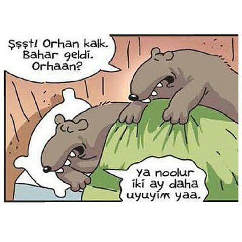 Uyumayı severmisiniz? uyku gece gelmek bilmez sabah gitmek bilmez sizin düzen nasıl?