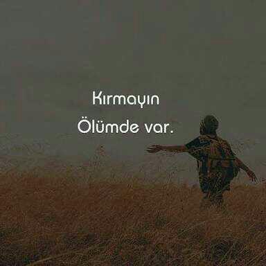 Yaptıklarından çok pişman olan biri (yaptıkları aşağıda yazıyor) Ölüm var affet beni dese affeder misiniz??