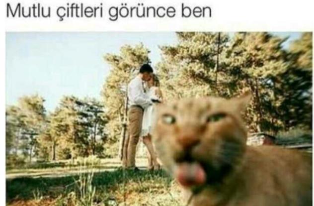 Dışarıda mutlu çift görünce tepkiniz ne oluyor?