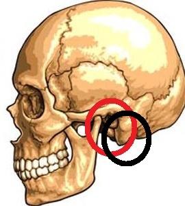 Kulak çöpüyle kulağımı temizlerken çok ileri ittirdim, ağrıyor! Ne yapmalıyım?