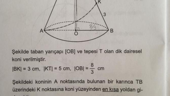 Karınca şekilde kaç cm yürümüştür?