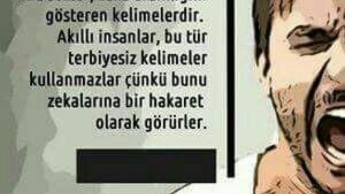 Gündelik hayatta terbiyesiz kelimeler kullanır mısınız?