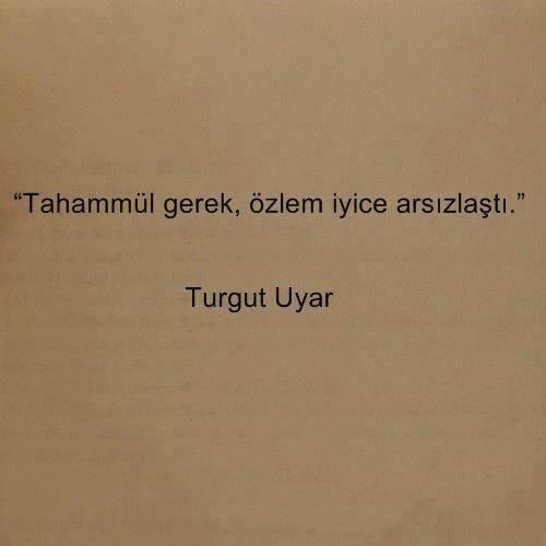 Hiç sarılmadığı birine sarılmayı özler mi insan???