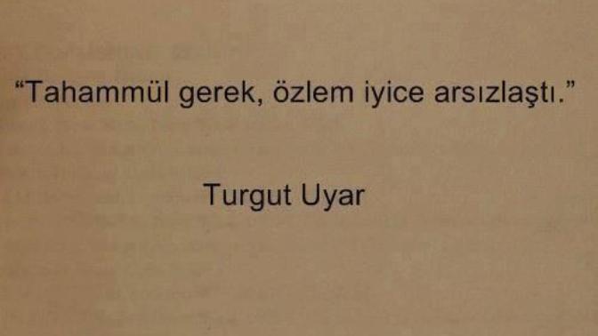 Hiç sarılmadığı birine sarılmayı özler mi insan?