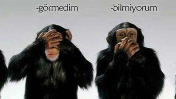 Üç maymunu oynamak ilişkilerde dejenerasyon yaratır mı?