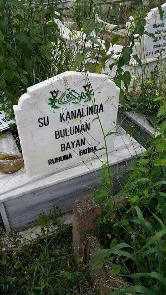 Sizce de bu dünya için çok fazla mutsuzluğa kapılmıyo muyuz??