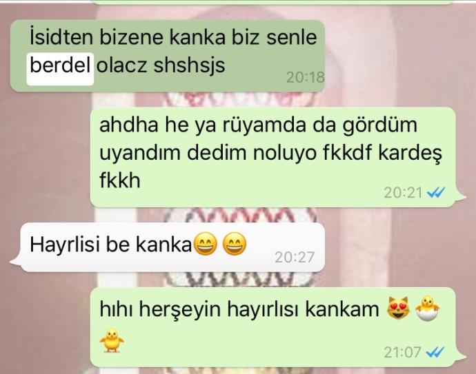 Kankam beni abisine mi alacak?