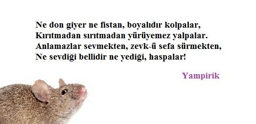Geceye bir cümle bırak?
