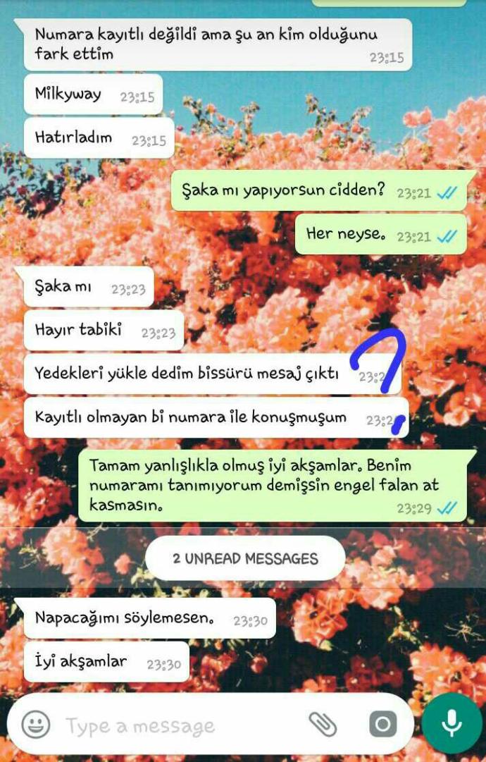 U dönüşü nedir? Nasıl yapılır adlı Rönesans tablosu arkadaşlar?